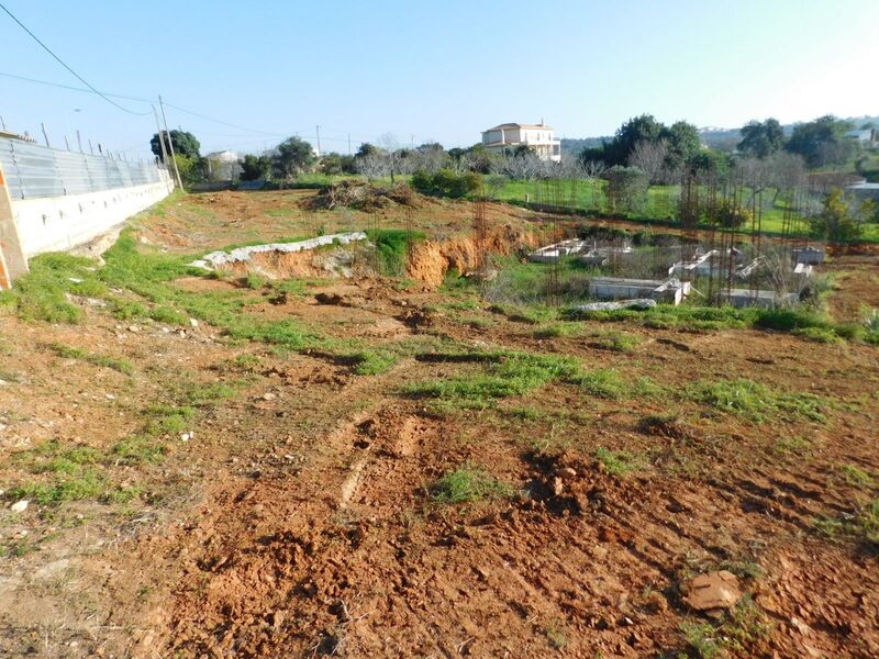 Land in Lagoa - Image 4