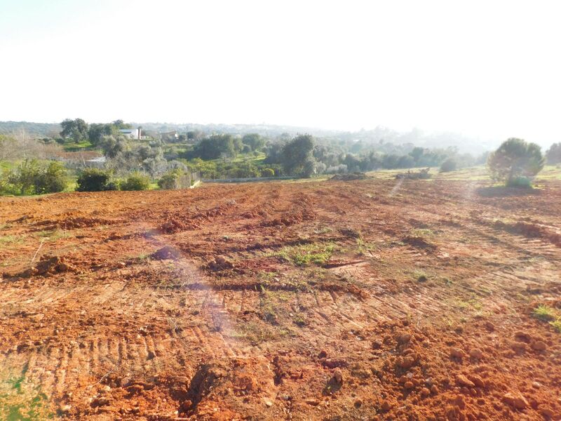 Land in Lagoa - Image 3
