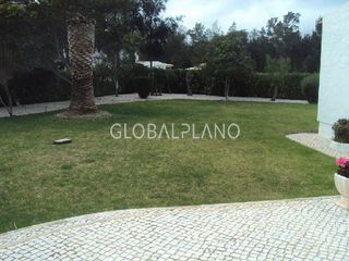 jardin/garden