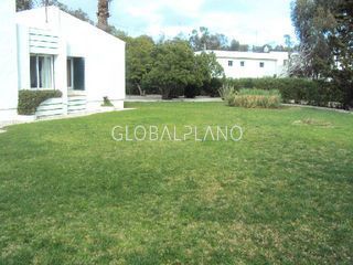jardim/garden