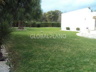 jardim/garden