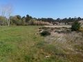 Terreno plano Coimbrão Leiria para vender - viabilidade de construção, bons acessos, água da rede, electricidade