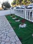 Apartamento Remodelado T2 Caldas da Rainha para vender - cozinha equipada, bbq, terraço, lareira, jardim, r/c