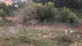 Lote de terreno para construção Vilar de Andorinho Vila Nova de Gaia para vender - bons acessos