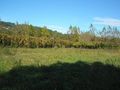 Terreno com 1500m2 Goães (São Pedro) Vila Verde
