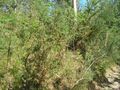 Venda de Terreno com 638m2 Aboim da Nóbrega Vila Verde