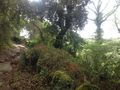 Terreno Agrícola com 6656m2 Valdreu Vila Verde para comprar