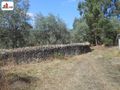 Venda de Terreno Rústico com 610m2 Poiares São Miguel de Poiares Vila Nova de Poiares