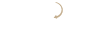 Rede Internacional de Imóveis logo