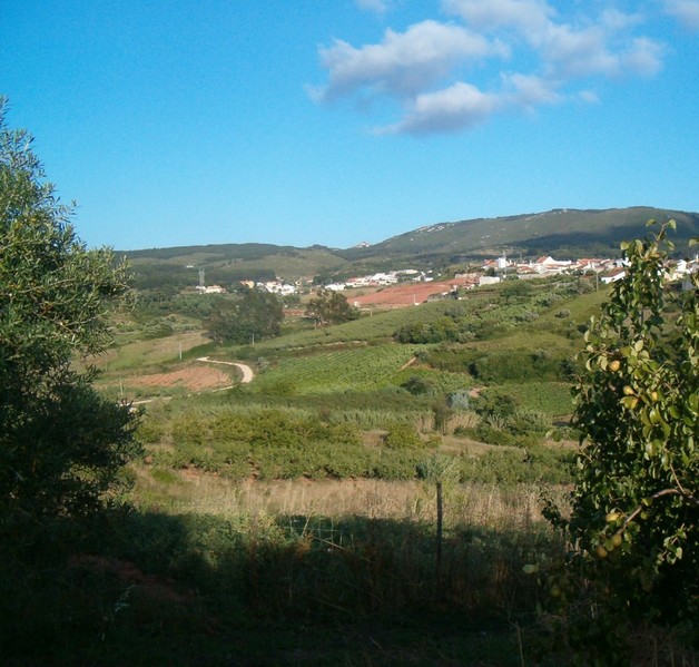 1000014403_vista_3.jpg