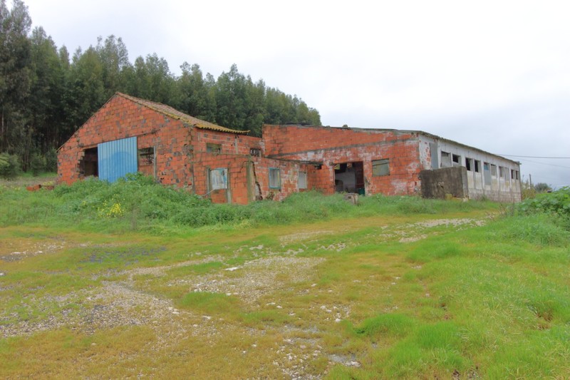 Casa Antiga em ruínas V0 Rio Maior Alcobertas - jardim