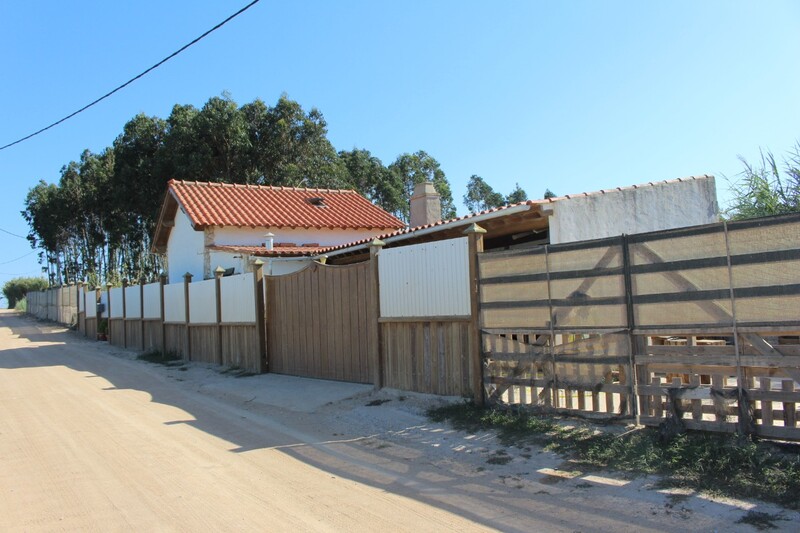 1000017612_img_9481.jpg