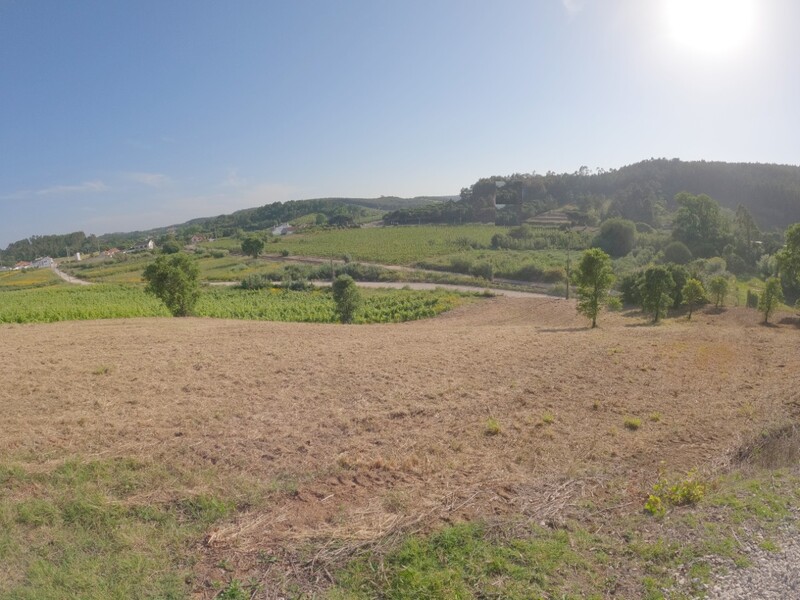 Land with 1160sqm Bombarral