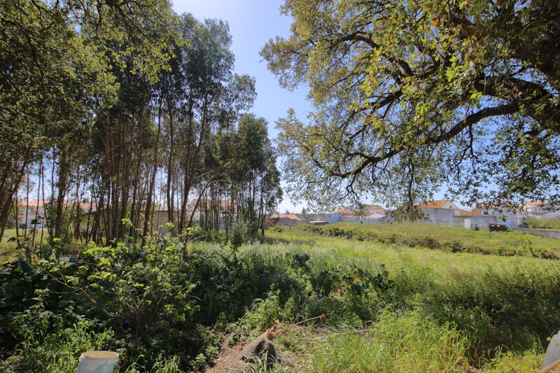 Terreno com 2676m2 Costa de Prata Santo Onofre Caldas da Rainha - viabilidade de construção