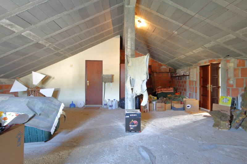 1000018921_img_4248.jpg