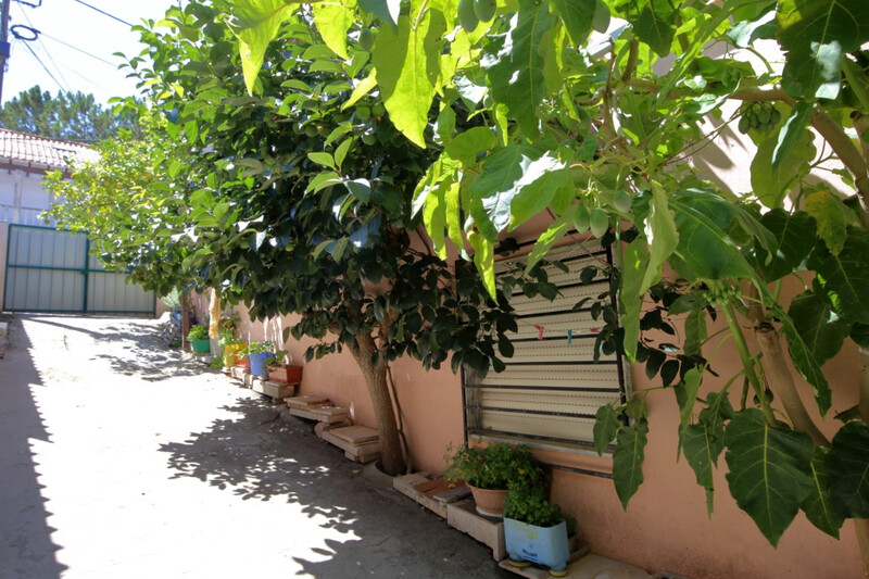 1000018939_img_4687.jpg