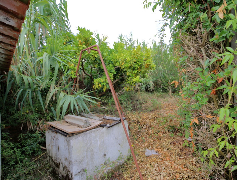 Small house V3 Single storey Serra do Montejunto Lamas Cadaval - garden, backyard, store room