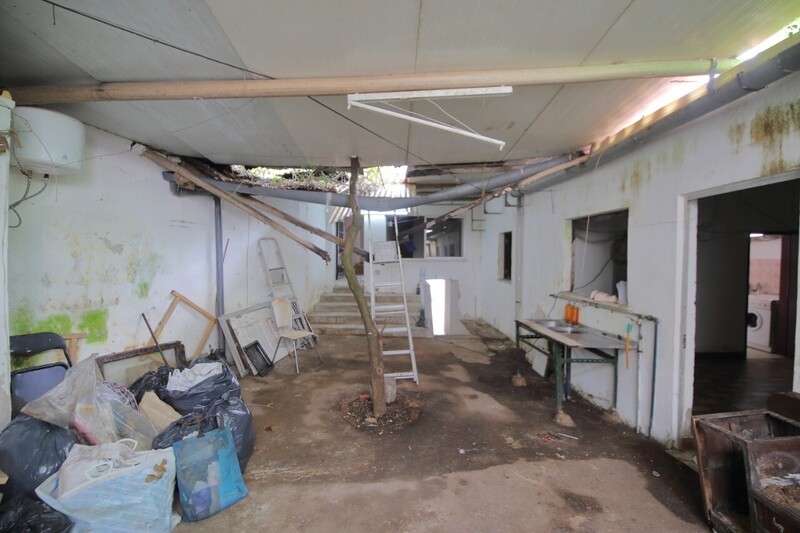 1000019850_img_2471.jpg