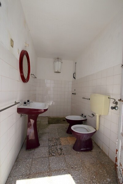 1000019858_img_2579.jpg