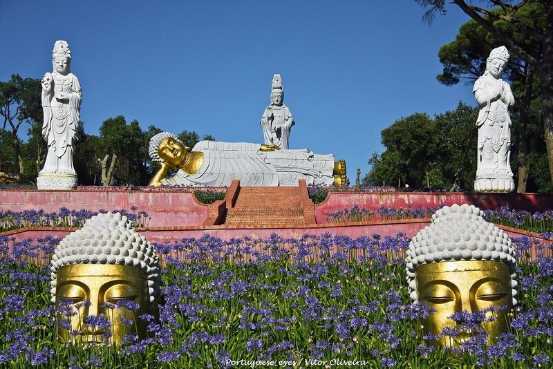 1000020480_budha6-6a85cbc120e84.jpg