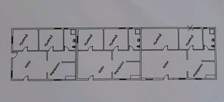 1000020532_planta-6ab964e6c13bc.png