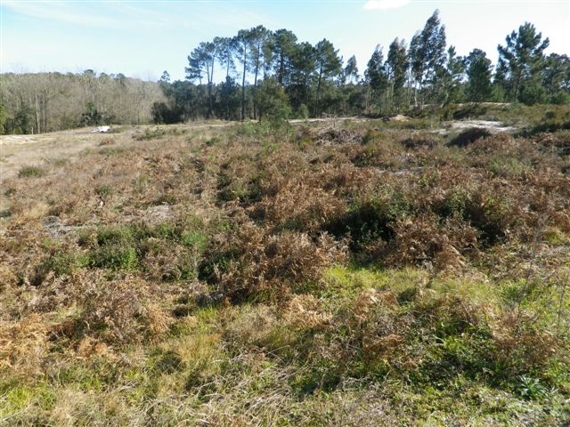 Land with 3494sqm Monte Redondo Leiria - mains water, electricity, water, easy access