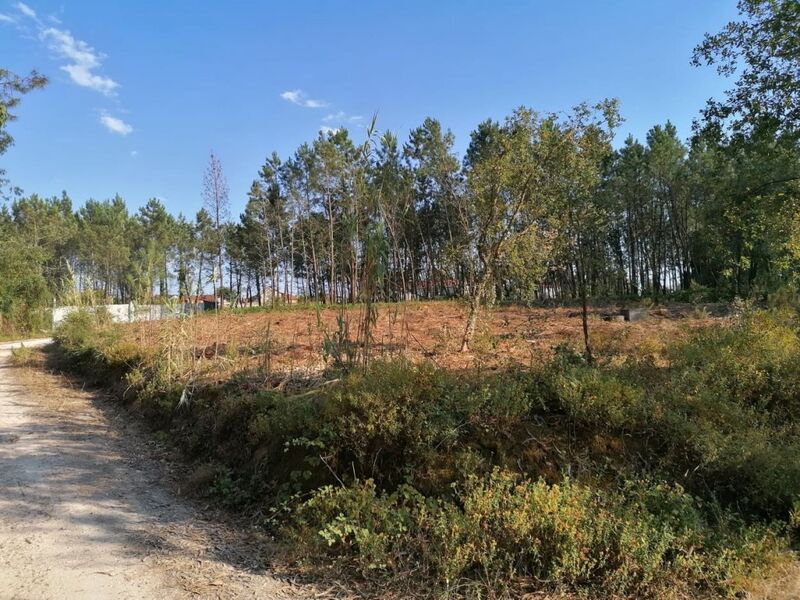 Terreno plano Bajouca Leiria - viabilidade de construção, electricidade, bons acessos, água da rede