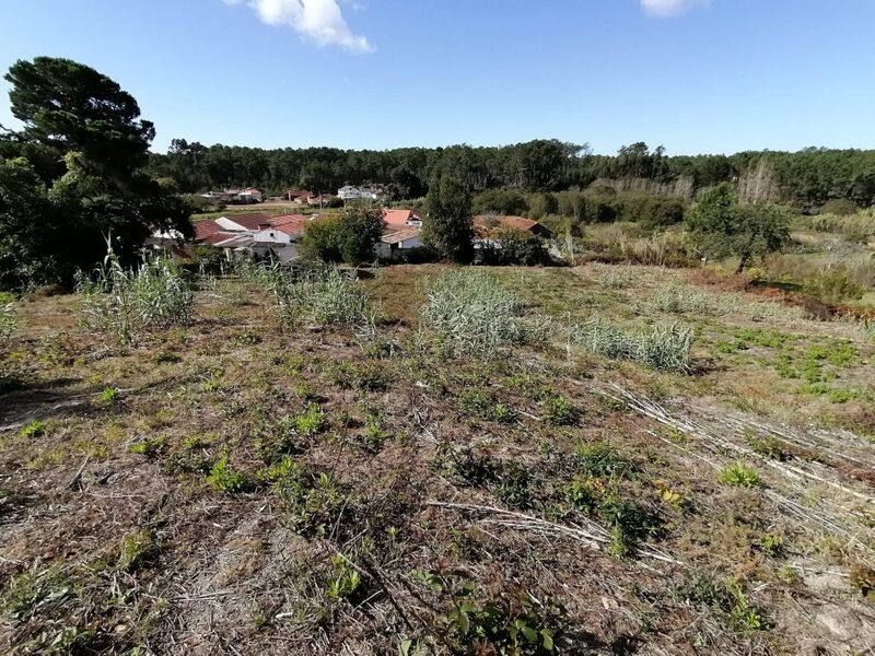 Land flat Monte Redondo Leiria - mains water, electricity, construction viability, easy access, water