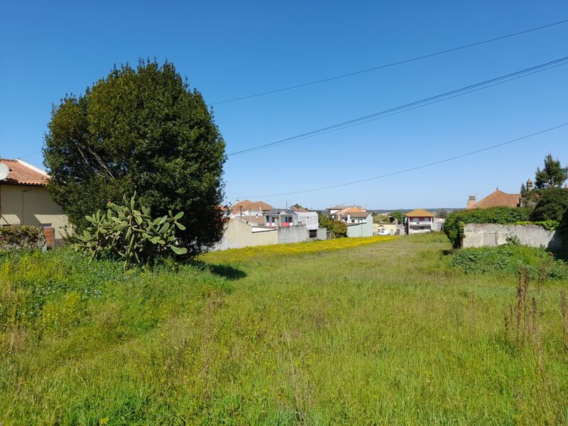 Terreno plano Monte Real Leiria - electricidade, bons acessos, água da rede