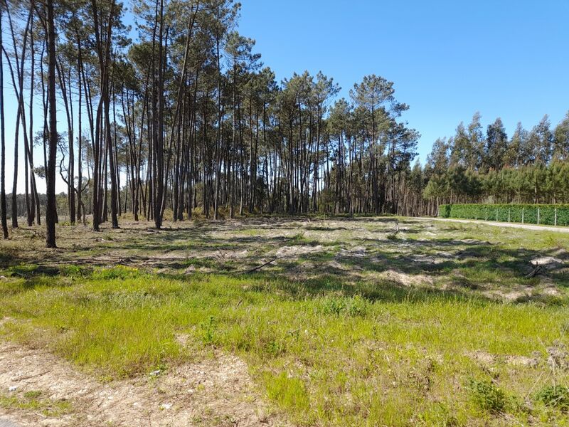 Terreno com 1760m2 Ilha Pombal - bons acessos, água da rede, garagem, electricidade