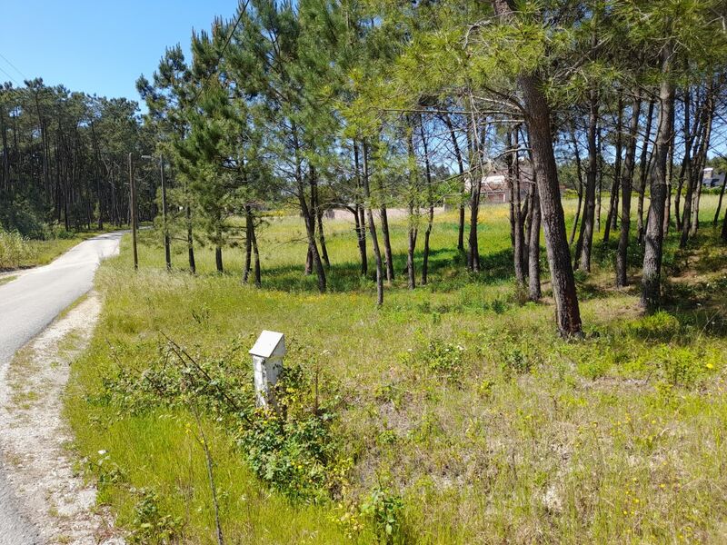 Terreno plano Ilha Pombal - água da rede, bons acessos, viabilidade de construção, electricidade