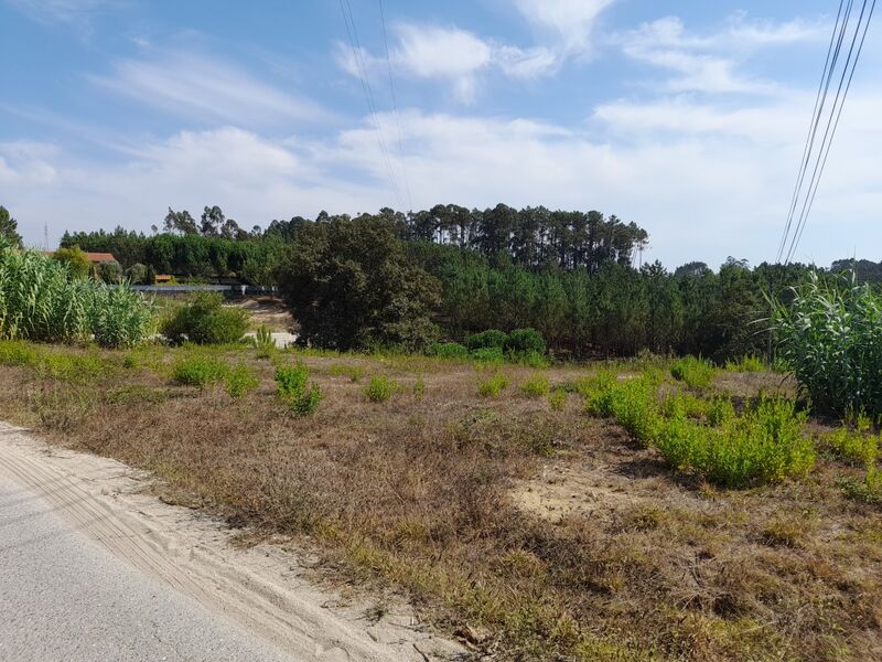 земля c 3000m2 Bidoeira de Cima Leiria - вода, отличный подъезд, электричество, вода кампания, возможность строительства