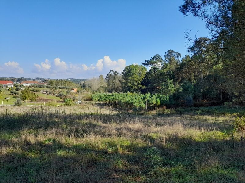 Land with 1600sqm Bidoeira de Baixo Bidoeira de Cima Leiria - easy access, water, electricity, construction viability, mains water