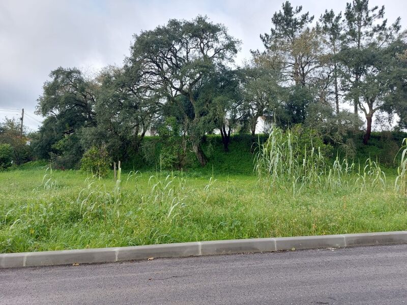 Terreno com 1500m2 Souto da Carpalhosa Leiria - bons acessos, água da rede, electricidade, viabilidade de construção