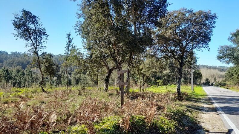 земля городской c 3763m2 Souto da Carpalhosa Leiria - вода, вода кампания, электричество, отличный подъезд