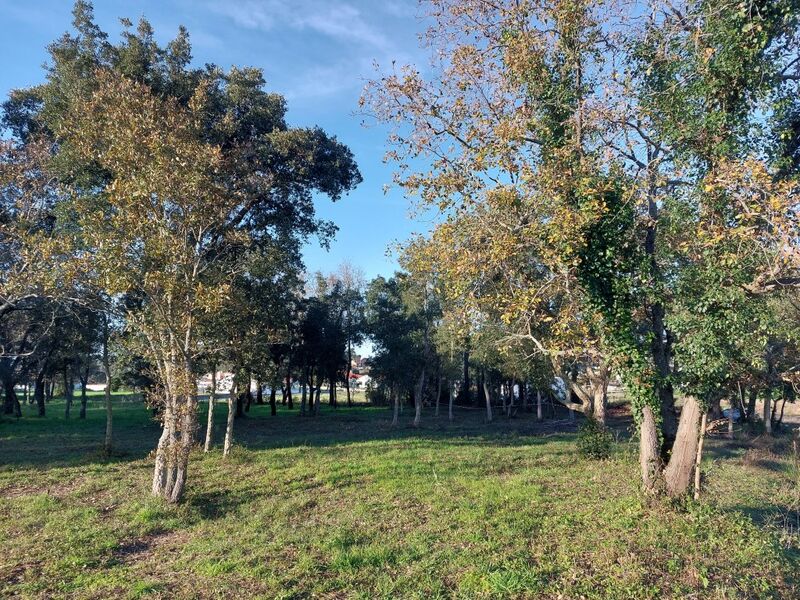 Terreno plano Ortigosa Leiria - electricidade, viabilidade de construção, bons acessos, água da rede