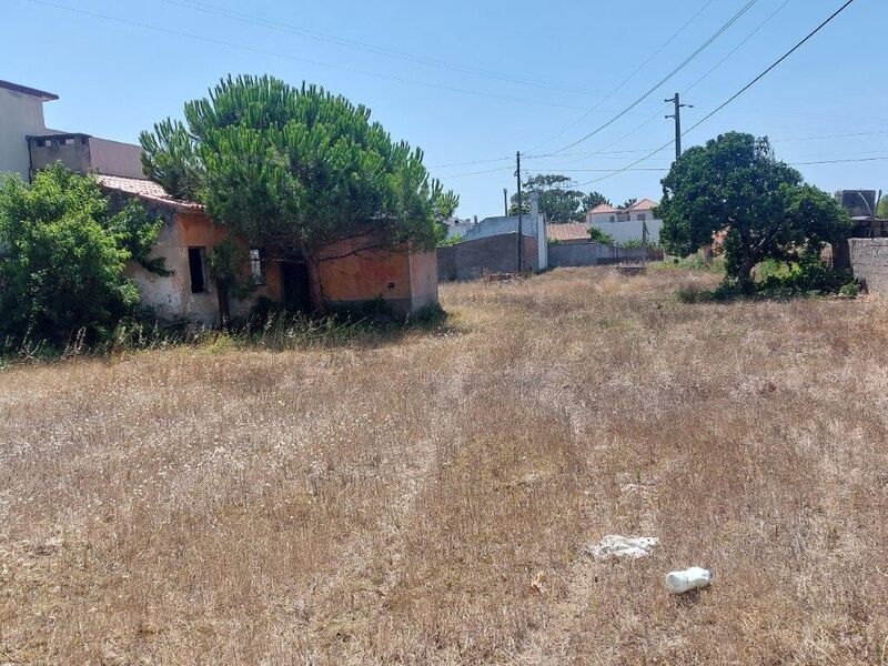 Land Rustic with 1500sqm Vieira de Leiria Marinha Grande - well, water, easy access, mains water, electricity