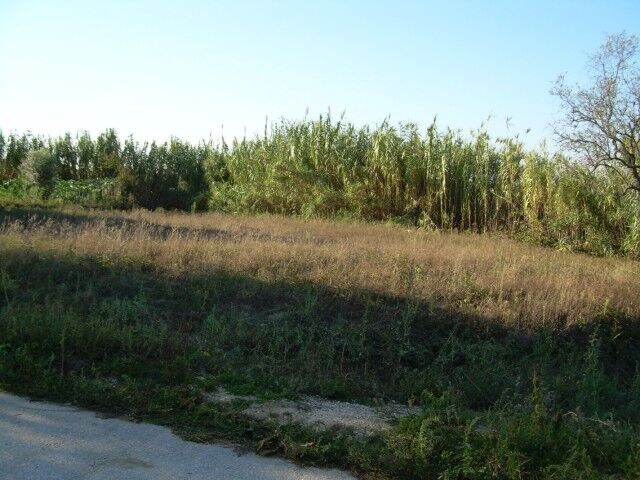 Terreno com 850m2 São Miguel Souto da Carpalhosa Leiria - viabilidade de construção