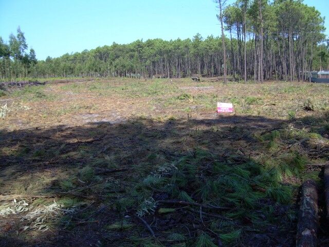 Terreno Rústico com 3070m2 Monte Real Leiria