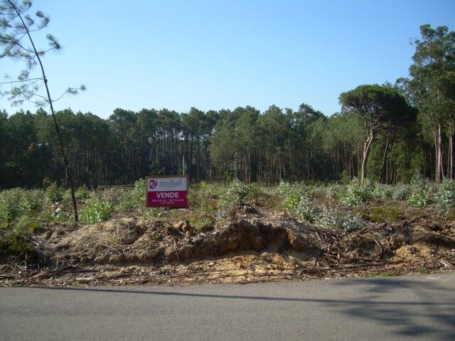 Land with 9200sqm Monte Real Leiria