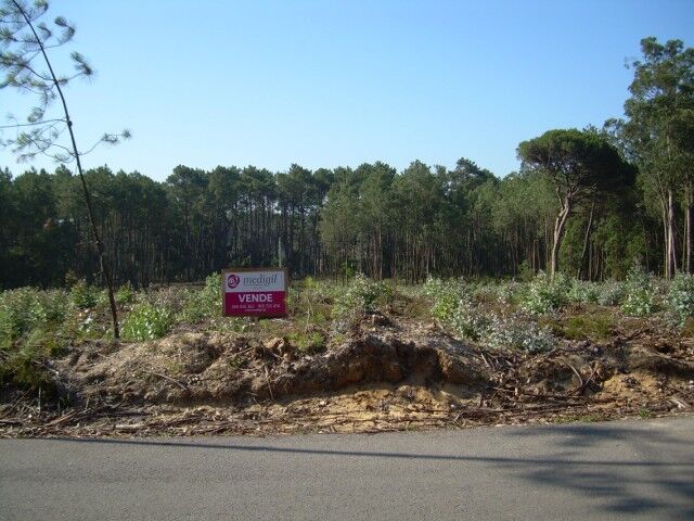 Land with 9200sqm Monte Real Leiria - construction viability