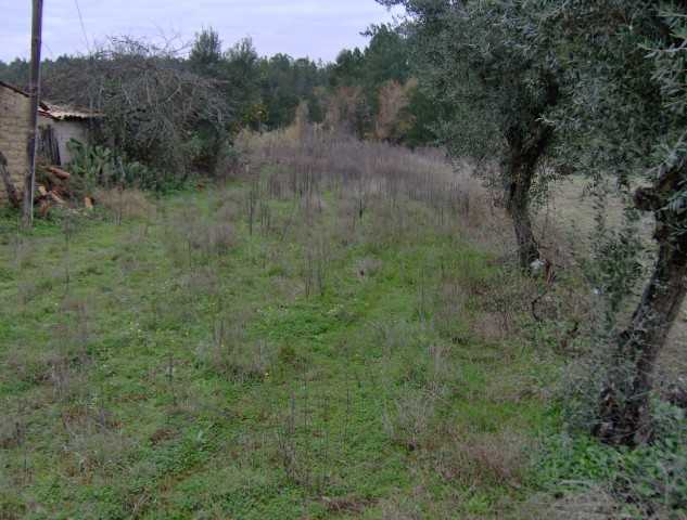 Terreno com 1500m2 Bajouca de Baixo Leiria para venda - zona muito calma, viabilidade de construção