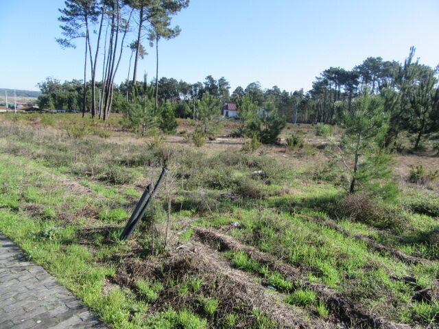 Plot of land Urban with 484sqm Vieira de Leiria Marinha Grande - water, electricity