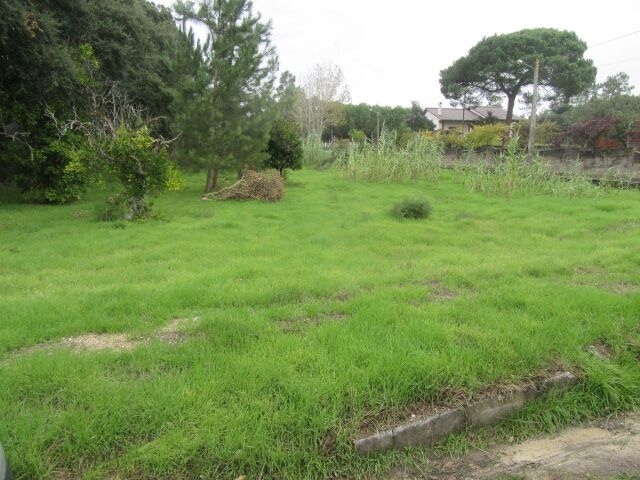 Land for construction Souto da Carpalhosa Leiria - construction viability