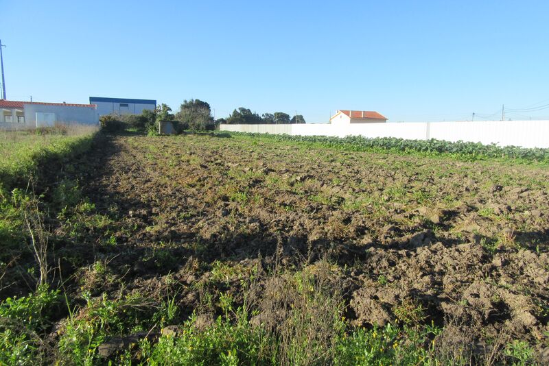 Land for construction Brejo Leiria - construction viability, well