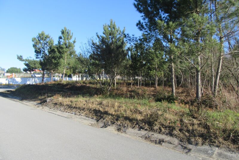 Land for construction Segodim Leiria - construction viability