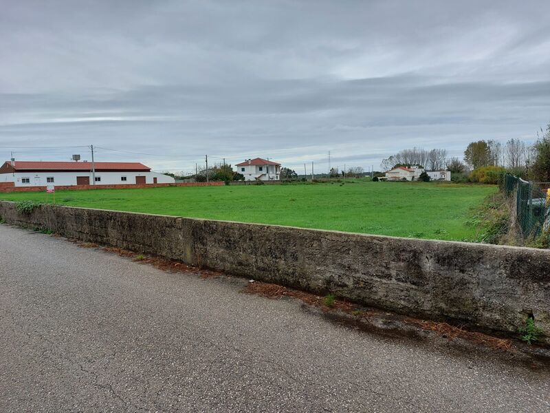 Terreno plano Carvide Leiria - viabilidade de construção