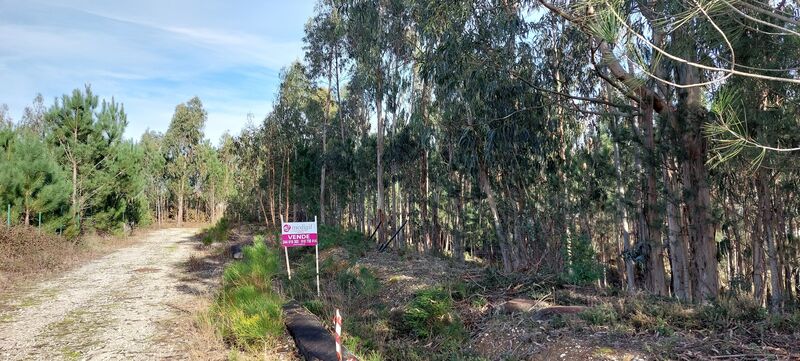 Terreno para construção Monte Real Leiria - luz, viabilidade de construção, água