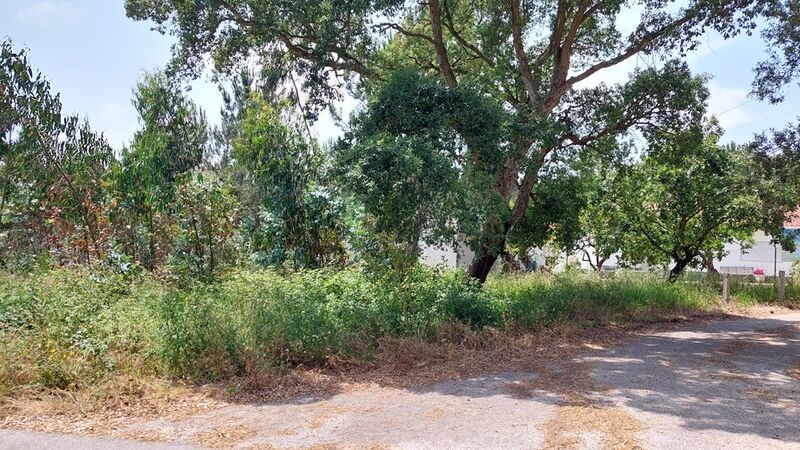 Land Urban with 800sqm Monte Real Leiria - electricity, water, construction viability