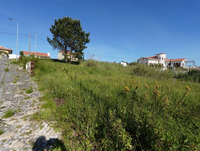 Land Gaeiras Óbidos